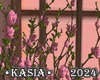 Sakura Tree/ Plant