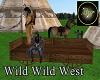 wild west 