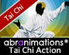 Tai Chi Chuan Action