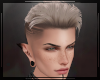 + Vergil Platinum