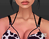l Top Leopard l