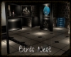 ~SB Birds Nest
