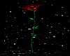 ROSE ( BEAST) DJ LIGHT