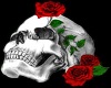 Immortal Roses