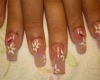 (K.M) Danity Nails