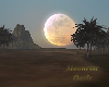 Moonrise Oasis