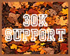 30K SUPPORT