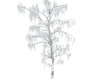 Winter Tree