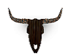 steer head