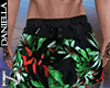 D| Beach Shorts V4