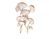Q - WHITE WALL FLOWER