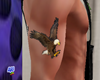 Bald Eagle Tattoo (R)