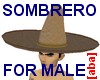 [aba]  Sombrero for Male