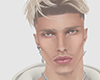 skin v2