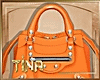 ✨ Iggy Orange Bag