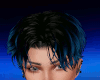A/ Dark Blue Hair