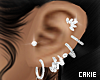 Silver Ear Piercings