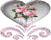 pink rose in a snowglobe