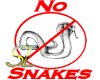 (SL) No Snakes Tee F