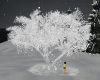 Frozen Tree + Snow