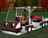 Golf Cart Limousine 12p