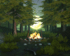 Forest Camping