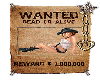 Wanted Cowgirl