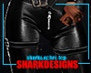 SD Leather pants
