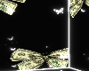 Money Bow BG