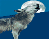 crying wolf