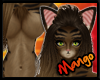 -DM- Tabby Fur F
