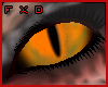 (FXD) Cat Eyes Orange