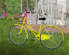 Garden Bicycle