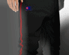㊣ Pant whit Red Socks
