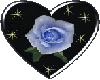 blue rose inside heart