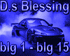 D.s Blessing  mix