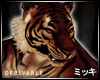! Dark Bengal Tiger