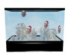 Large X-MAS Aquarium