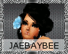 ::JB::SLiT HEART Aqua