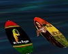 reggea surf boards