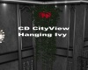 CD CityView Hanging Ivy
