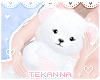 [T] Teddy bear White I