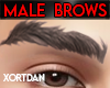 *LK* Male Brows
