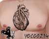 ［Y］tattoo/heart
