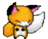 Rave fox furry