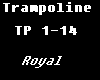 Trampoline-Trap