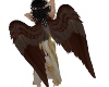 Aerie wings HW