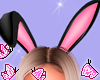Bunny Pink Ears