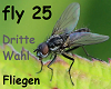 Dritte Wahl - Fliegen
