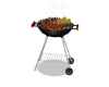 BBQ Grill
